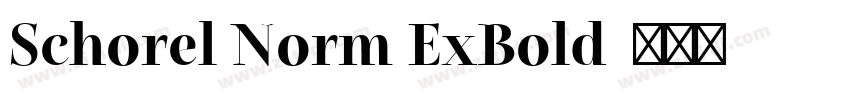 Schorel Norm ExBold字体转换